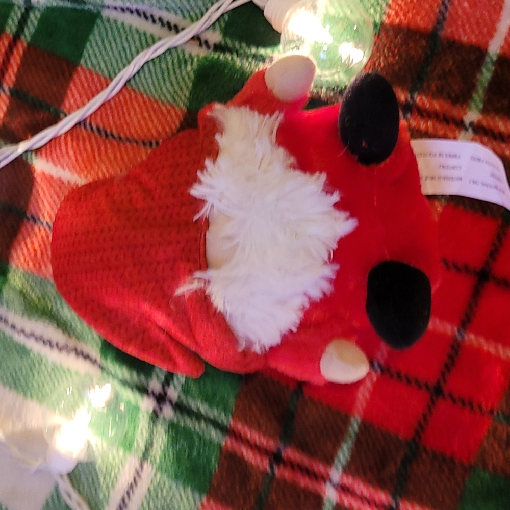 Little Christmas guy